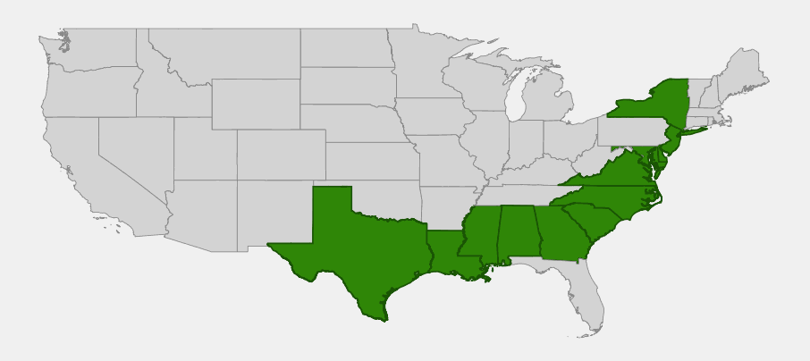 Native range map of Seashore Mallow (Kosteletzkya pentacarpos) along the Atlantic and Gulf coasts from New York to Texas