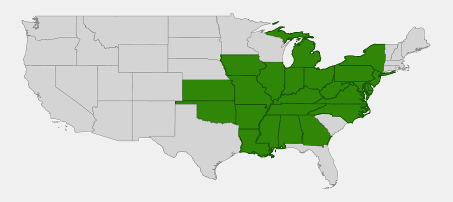 Native range map of Shingle Oak (Quercus imbricaria) highlighting states from Iowa and Kansas east to Pennsylvania and New York and south to Louisiana and Alabama