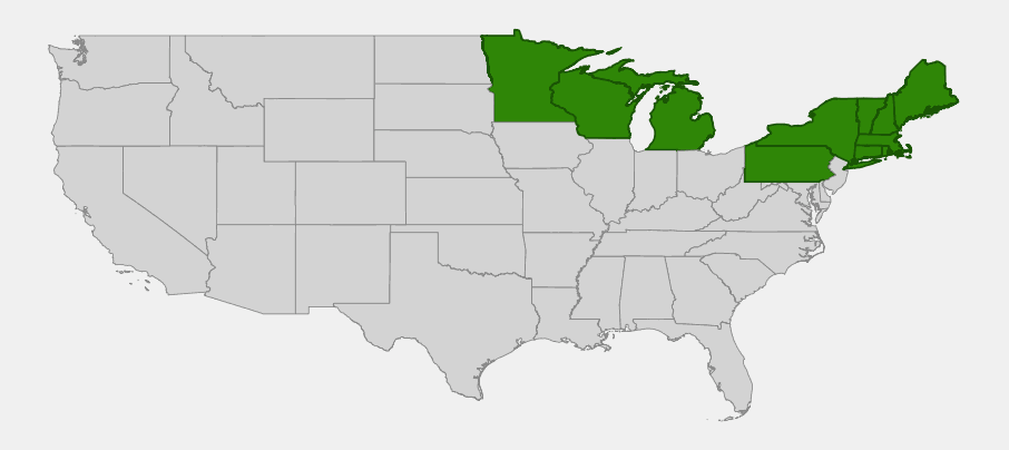 Native range map of Showy Mountain Ash (Sorbus decora) showing distribution across the Great Lakes and Northeastern United States