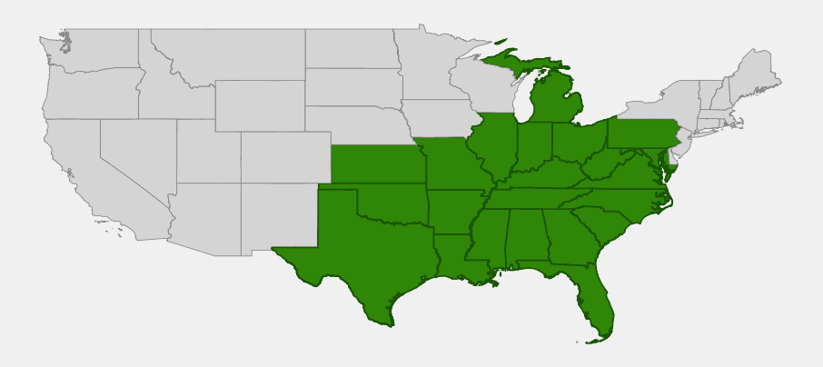 Native range map of Shumard Oak (Quercus shumardii) across the southeastern and south-central United States