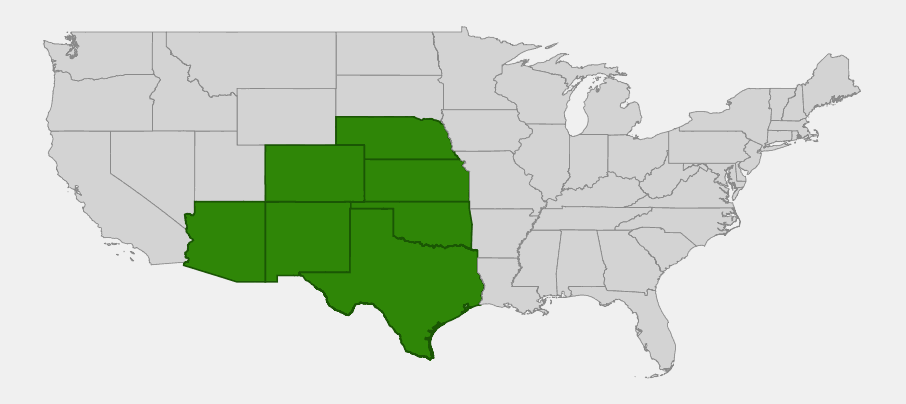 Native range map of silver bluestem (Bothriochloa laguroides) highlighting Arizona, Colorado, Kansas, Nebraska, New Mexico, Oklahoma and Texas