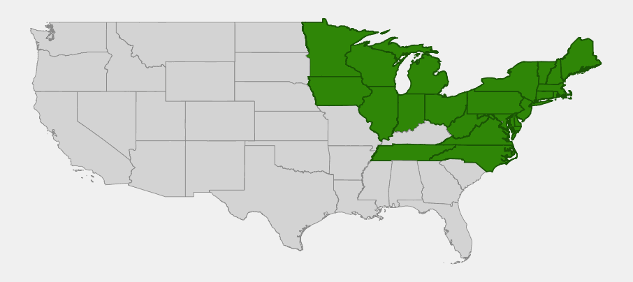 Native range map of Skunk Cabbage (Symplocarpus foetidus) showing distribution across the northeastern and Upper Midwest United States