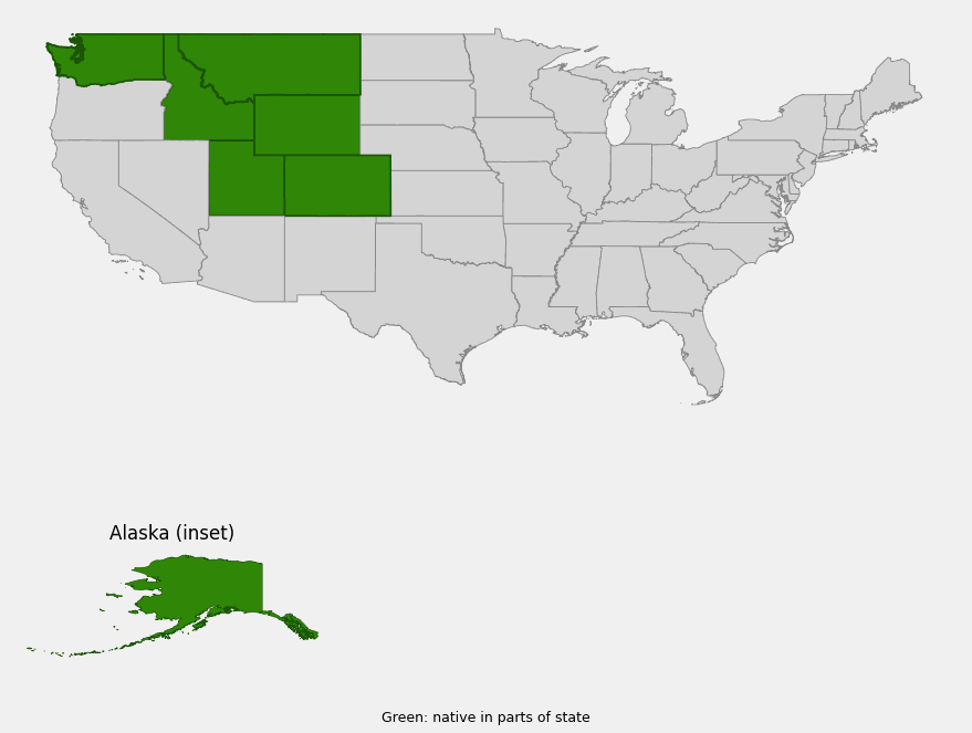 Native range map of small-flowered anemone (Anemone parviflora) highlighting Alaska, Washington, Idaho, Montana, Wyoming, Utah and Colorado