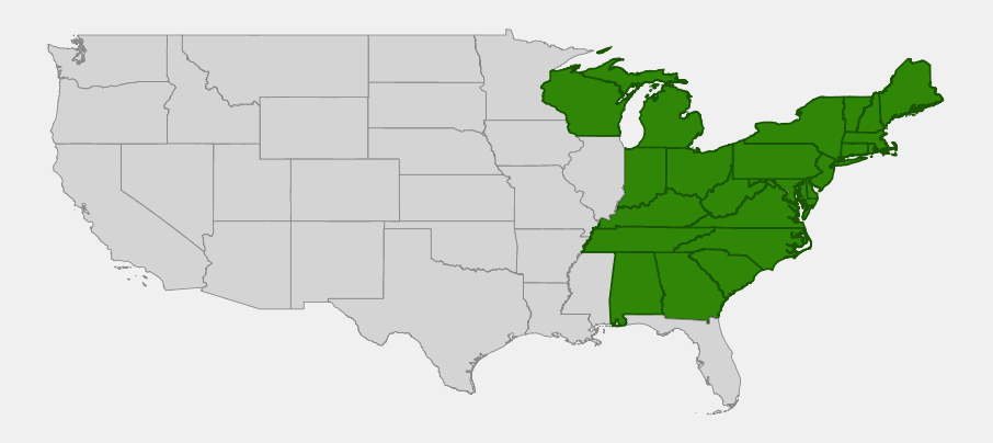 Native range map of smooth carrionflower (Smilax herbacea) showing distribution across the eastern United States from New England to Georgia and Alabama