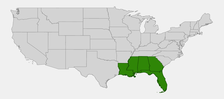 Native range map of Southern Catalpa (Catalpa bignonioides) showing distribution limited to Louisiana, Mississippi, Alabama, Georgia, and the Florida panhandle