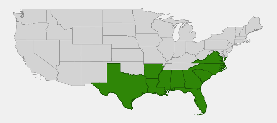 Native range map of Spanish Moss (Tillandsia usneoides) showing distribution across the southeastern United States from Virginia to Texas