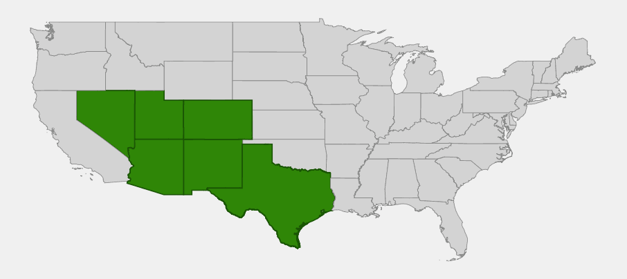 Native range map of spike muhly (Muhlenbergia wrightii) showing distribution across Arizona, Colorado, New Mexico, Nevada, Texas, and Utah