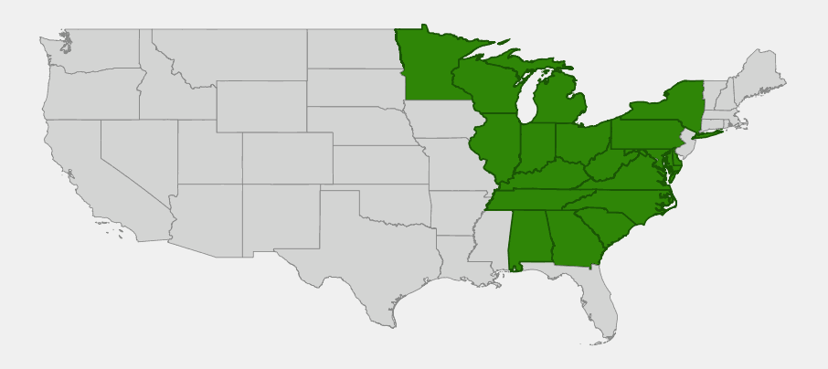 Native range map of spotted phlox (Phlox maculata) across the eastern and central United States