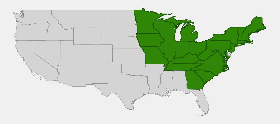 Native range map of squirrel corn (Dicentra canadensis) highlighting states across the northeastern and midwestern United States and the southern Appalachians