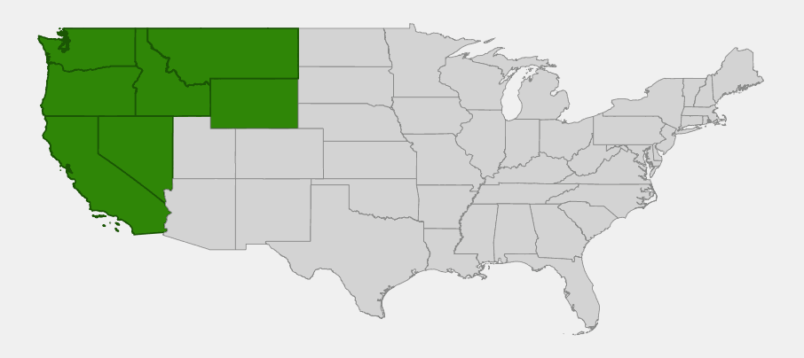 Native range map of Sticky Cinquefoil (Potentilla glandulosa) showing distribution across California, Oregon, Washington, Nevada, Idaho, Montana, and Wyoming