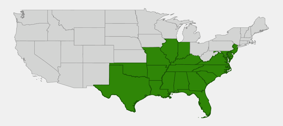 Native range map of Stiff Dogwood (Cornus foemina) across the southeastern and east-central United States