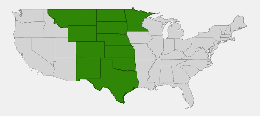 Native range map of Stiffstem Flax (Linum rigidum) showing distribution across the Great Plains from Montana to Texas