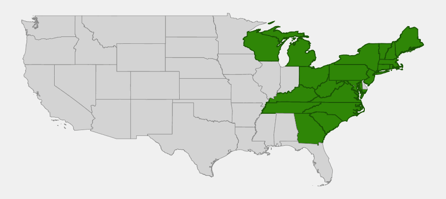 Native range map of striped maple (Acer pensylvanicum) showing distribution across the northeastern and Appalachian United States