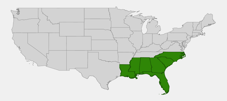 Native range map of Swamp Jessamine (Gelsemium rankinii) showing distribution across North Carolina, South Carolina, Georgia, Florida, Alabama, Mississippi, and Louisiana