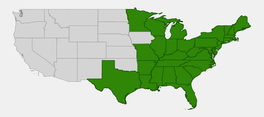 Native range map of swamp loosestrife (Decodon verticillatus) showing distribution across the eastern United States