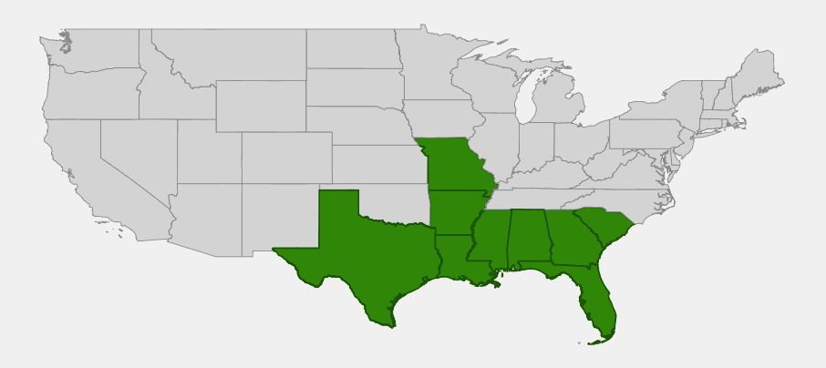 Native range map of Swamp Post Oak (Quercus similis) highlighting Arkansas, Louisiana, Mississippi, Texas, Alabama, Georgia, South Carolina, Missouri and Florida