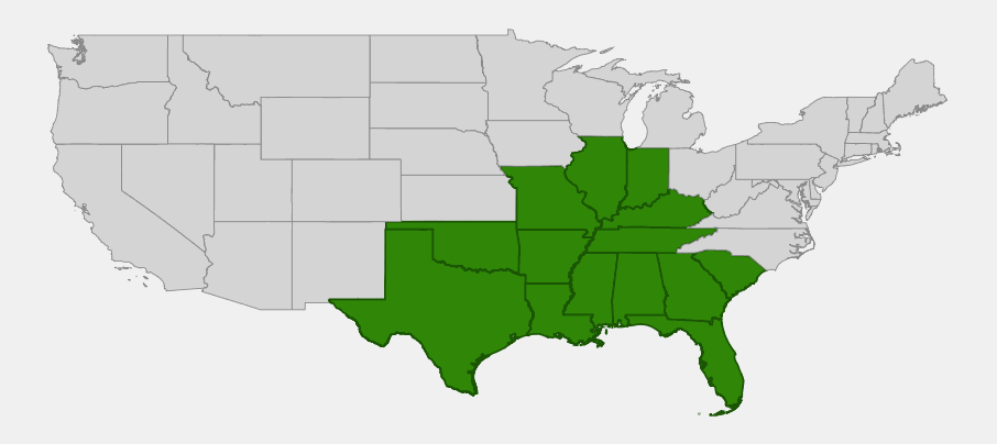Native range map of swamp privet (Forestiera acuminata) showing distribution across the southeastern and south-central United States