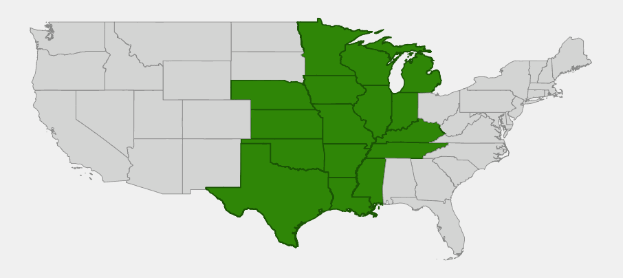 Native range map of Sweet Black-eyed Susan (Rudbeckia subtomentosa) across the central United States