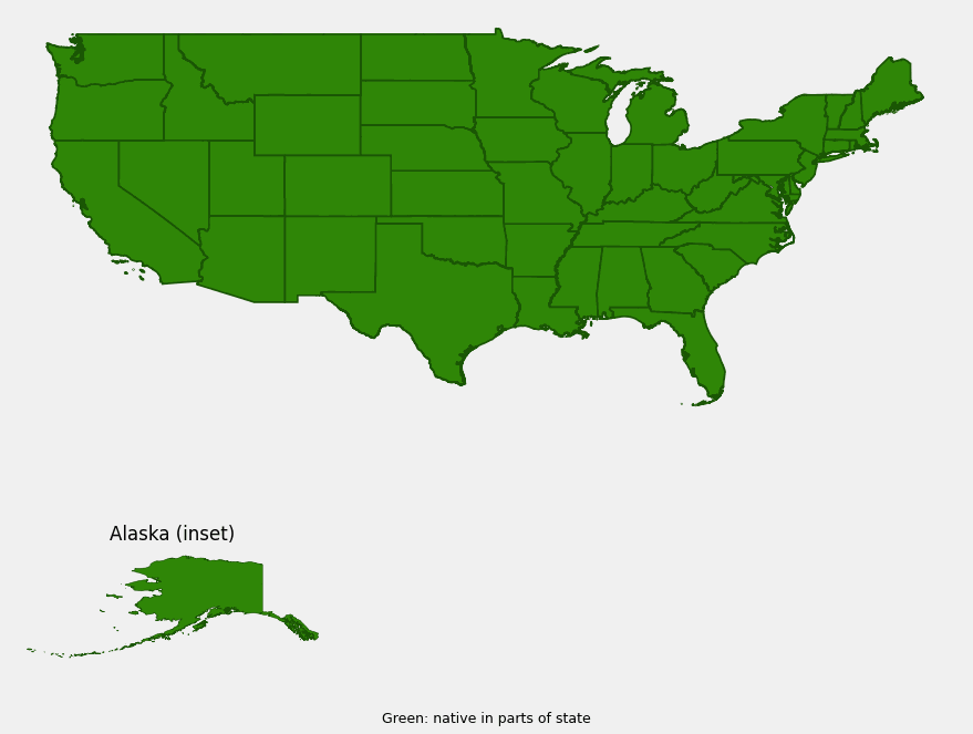 Native range map of Sweet-scented Bedstraw (Galium triflorum) showing distribution across nearly all of the continental United States and Alaska