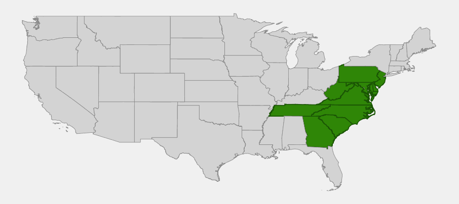 Native range map of Table Mountain Pine (Pinus pungens) showing distribution across the central and southern Appalachian Mountains