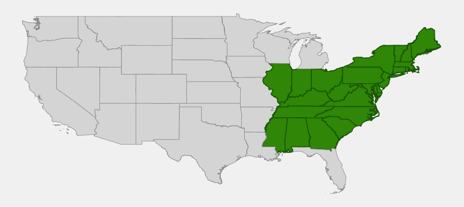 Native range map of Tall Meadow-rue (Thalictrum pubescens) showing distribution across the eastern United States from New England to the Gulf states and west to Illinois