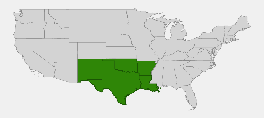 Native range map of Texas grama (Bouteloua rigidiseta) highlighting Texas, Oklahoma, New Mexico, Arkansas and Louisiana