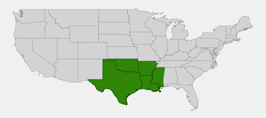 Native range map of Texas wintergrass (Nassella leucotricha) showing distribution across Texas, Oklahoma, Arkansas, Louisiana, and Mississippi