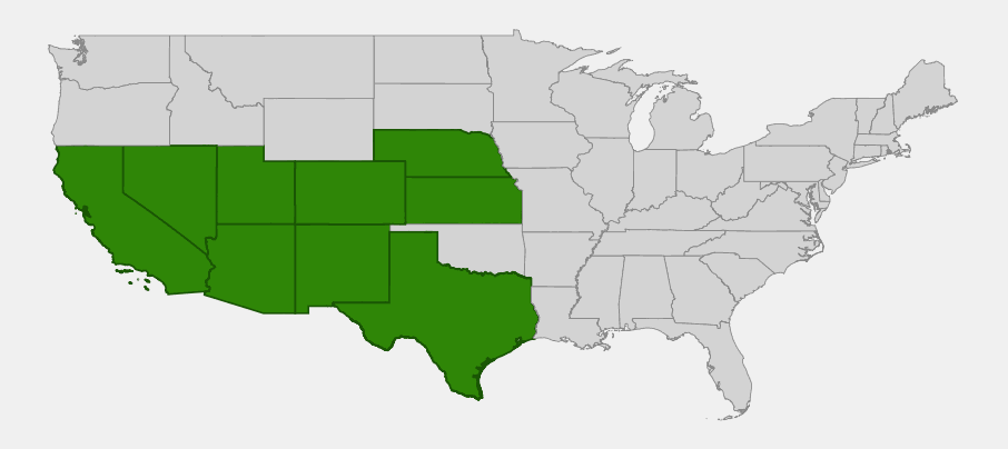 Native range map of Trailing Four O'Clock (Allionia incarnata) showing distribution across California, Nevada, Utah, Arizona, New Mexico, Colorado, Kansas, Nebraska, and Texas