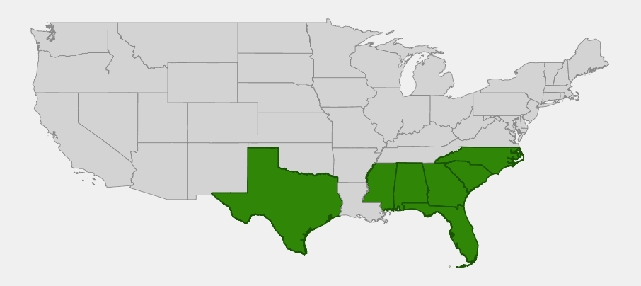 Native range map of trailing phlox (Phlox nivalis) across the southeastern US and Texas