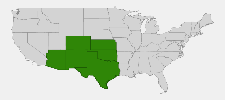 Native range map of Tree Cholla (Cylindropuntia imbricata) highlighting Arizona, Colorado, Kansas, New Mexico, Oklahoma and Texas