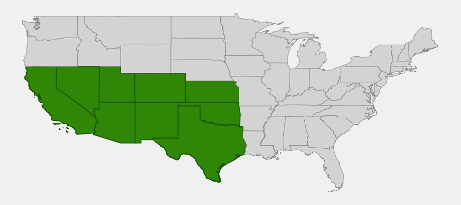 Native range map of Tulip Prickly Pear (Opuntia phaeacantha) showing distribution across the Southwest and southern Rockies