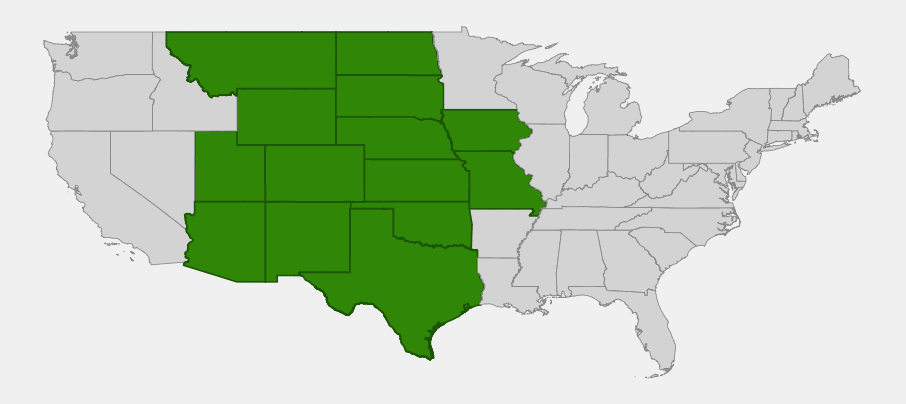 Native range map of Tumblegrass (Schedonnardus paniculatus) showing distribution across the Great Plains and Southwest