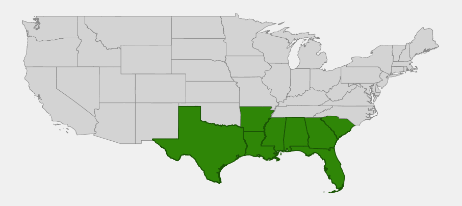 Native range map of Turk's Cap (Malvaviscus arboreus var. drummondii) highlighting Texas, Louisiana, Arkansas, Mississippi, Alabama, Georgia, Florida and South Carolina