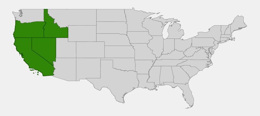 Native range map of two-horned calicoflower (Downingia bicornuta) showing distribution across California, Oregon, Idaho, and Nevada