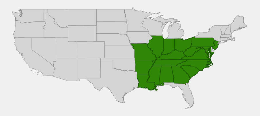 Native range map of Clematis viorna (Vasevine) showing distribution across the southeastern and south-central United States and the lower Midwest