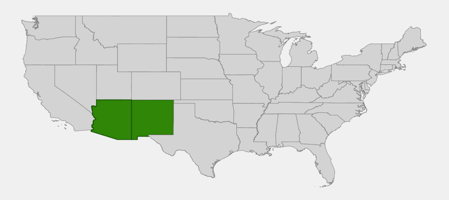 Native range map of Velvet Mesquite (Prosopis velutina) highlighting Arizona and New Mexico