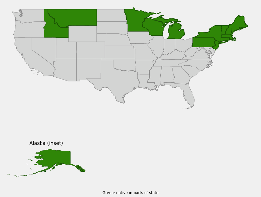 Native range map of Velvetleaf Blueberry (Vaccinium myrtilloides) across Alaska, the Great Lakes, Northeast, and disjunct northern Rockies