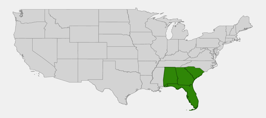Native range map of Walter's Viburnum (Viburnum obovatum) highlighting Florida, Georgia, Alabama and South Carolina