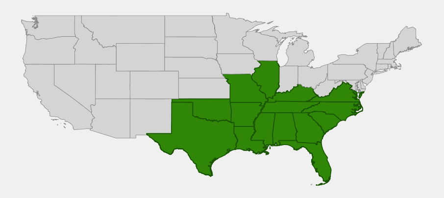 Native range map of water hickory (Carya aquatica) across the southeastern United States and Mississippi Valley