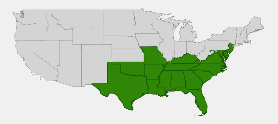 Native range map of Water Oak (Quercus nigra) highlighting states from New Jersey south to Florida, west to Texas, and north through the Mississippi Valley to Missouri