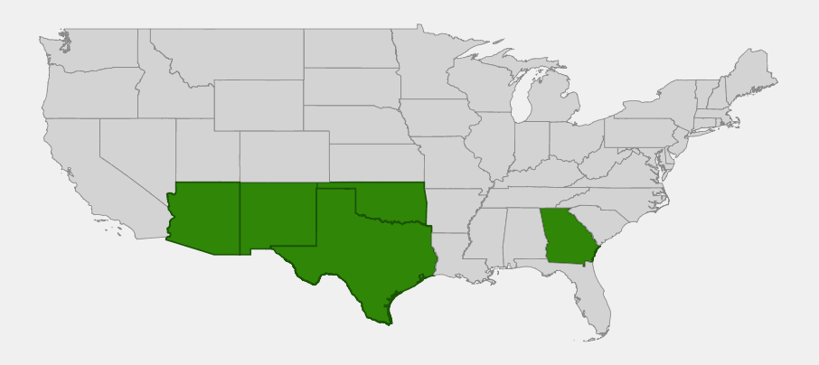 Native range map of wavy scaly cloak fern (Astrolepis sinuata) highlighting Arizona, New Mexico, Texas, Oklahoma and a disjunct population in Georgia
