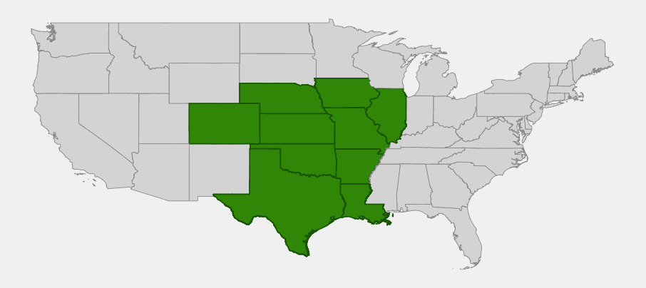 Native range map of Western Ironweed (Vernonia baldwinii) highlighting Texas, Oklahoma, Kansas, Nebraska, Missouri, Arkansas, Louisiana, Iowa, Illinois and Colorado