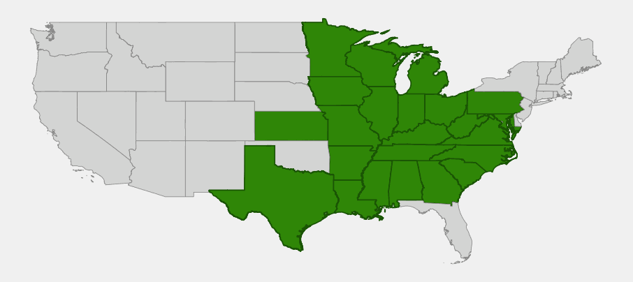 Native range map of Western Sunflower (Helianthus occidentalis) highlighting the Great Lakes, Ozarks, Appalachian and Texas portions of the eastern and central United States