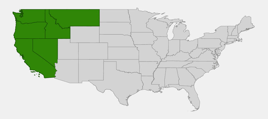 Native range map of white alder (Alnus rhombifolia) highlighting California, Oregon, Washington, Idaho, Nevada and Montana