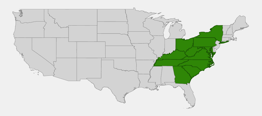 Native range map of White Clintonia (Clintonia umbellulata) showing distribution across the Appalachian Mountains from New York to Georgia