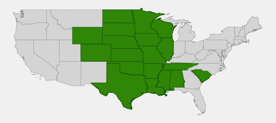Native range map of White Four O'Clock (Mirabilis albida) showing distribution across the Great Plains and central United States