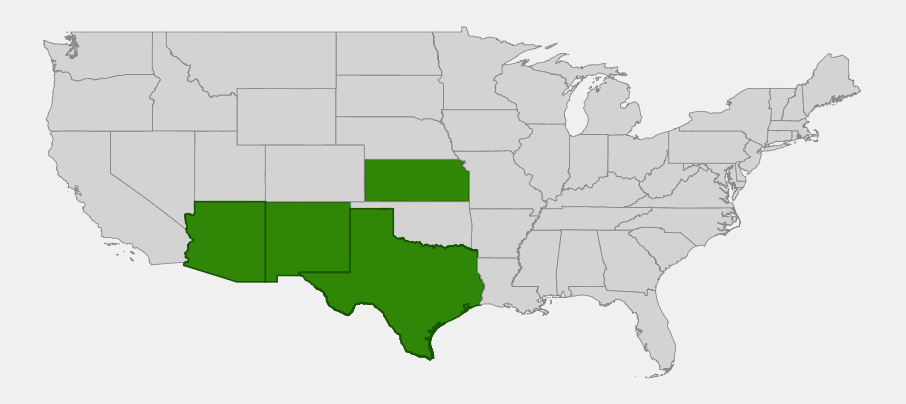 Native range map of White Tridens (Tridens albescens) showing distribution across Kansas, New Mexico, Arizona, and Texas