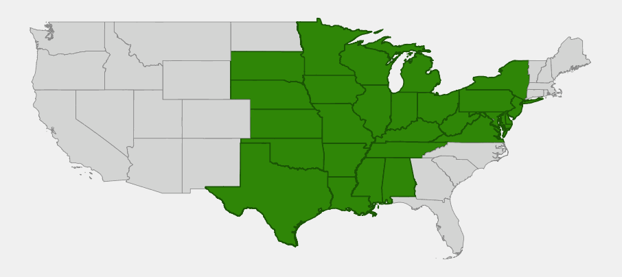 Native range map of white trout lily (Erythronium albidum) highlighting states from the upper Midwest and mid-Atlantic south to the Gulf Coast and west to the eastern Great Plains