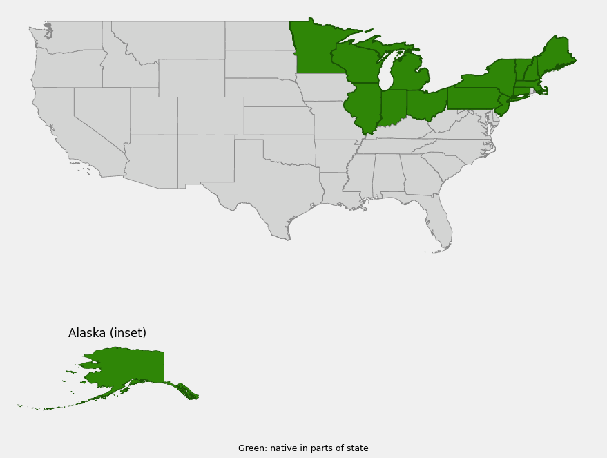 Native range map of wild calla (Calla palustris) showing distribution across the Northeast, Great Lakes states, and Alaska