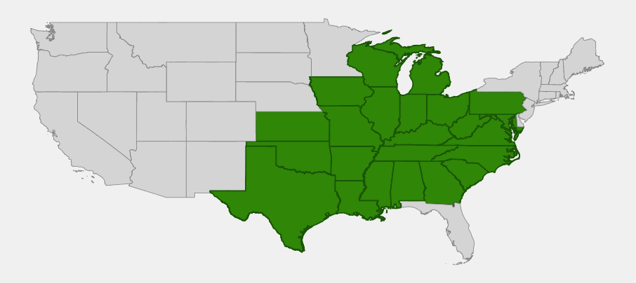 Native range map of Wild Petunia (Ruellia humilis) showing distribution across the central and eastern United States